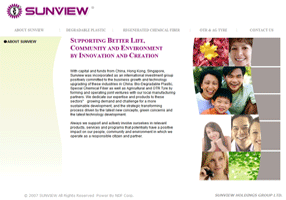 NDF��վ���谸����SUNVIEW HOLDINGS GROUP LTD.(�Ĵ�����)